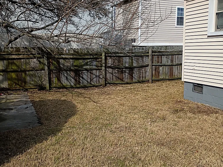 backyard