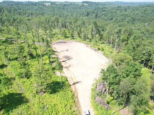 0 Route 580 Hwy Lot 5, Cherry Tree, PA 15724