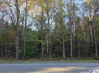 1317 Major Dr, Darlington, SC 29540