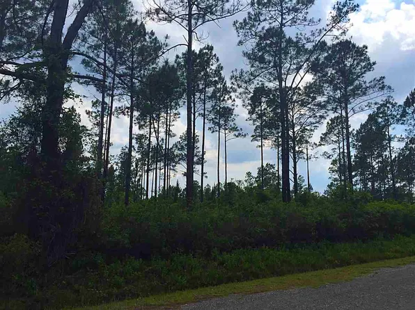 4435 Regina St, Hastings, FL 32145