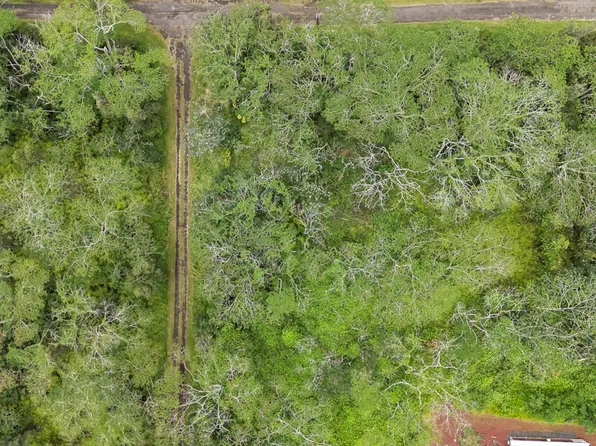 14-3501 Kailua Rd Lot 406, Pahoa, HI 96778