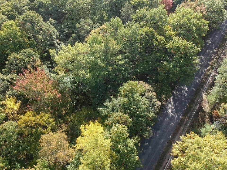 2nd image of N Sherman Rd
