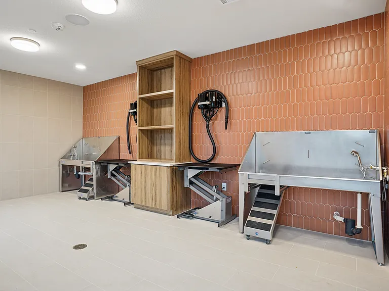 Pet Wash
