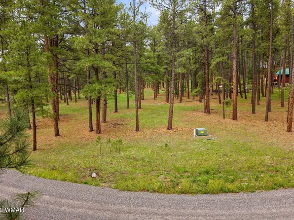 12 N1067, Greer, AZ 85927