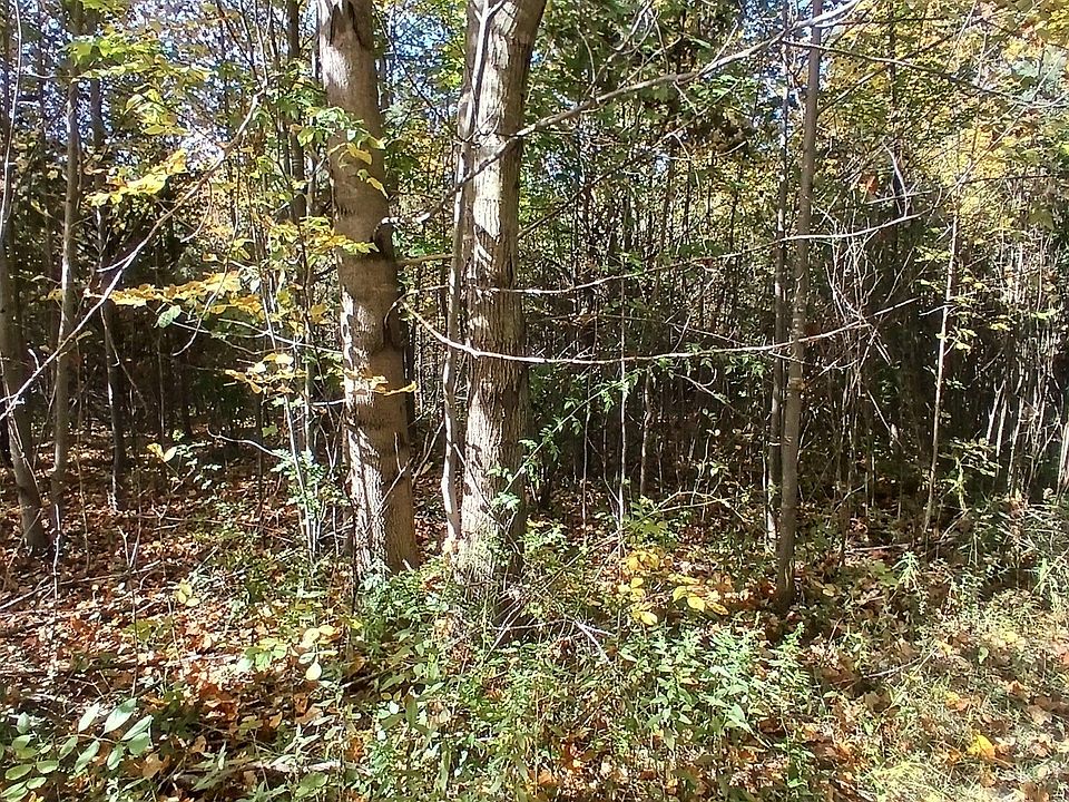 2nd image of 378 County Rd