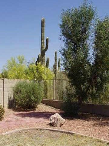 Backyard With Mountain Views and Privacy