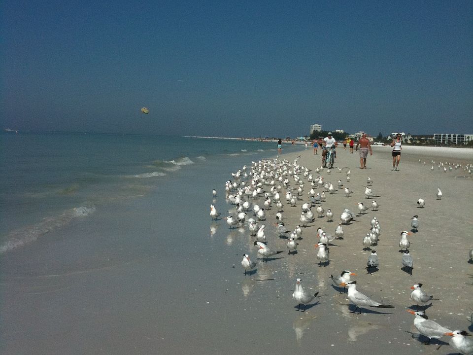 Best beach in the USA!