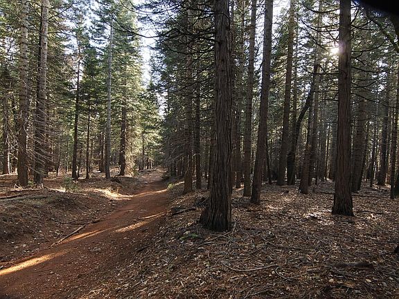 4th image of 680 Sugar Pine Rd