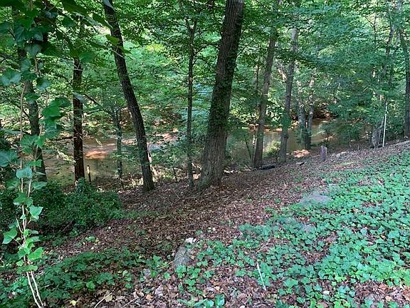 Back Yard Creek