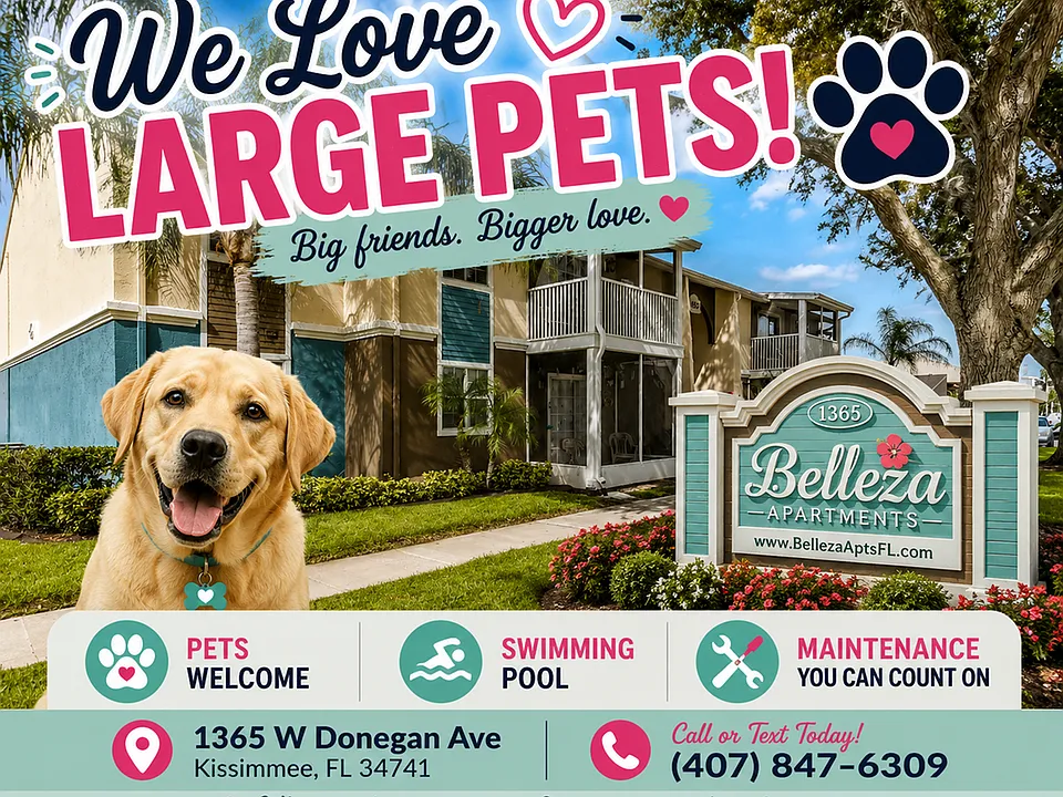We Love Large Pets