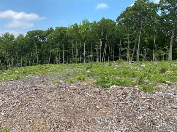 418 Sawmill Road, Burlington, CT 06013