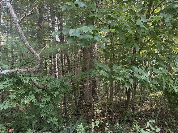 4th image of 0 Summer Wood Ln