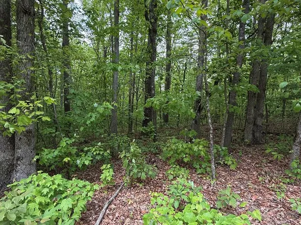 LOT 12 Bow Rd, Monterey, TN 38574