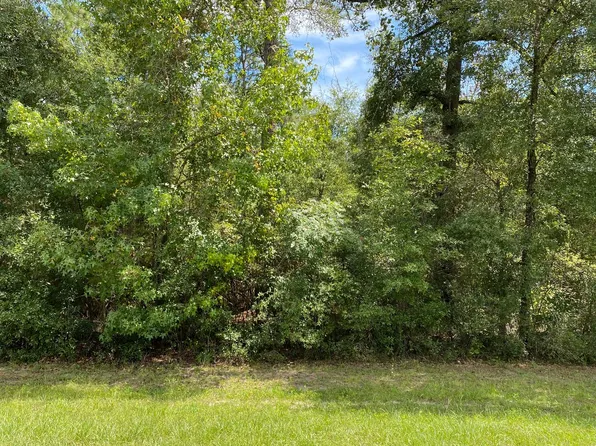 LOT 19 County Road 136, Live Oak, FL 32060