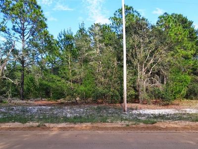 Donovan Ave #3, Interlachen, FL, 32148