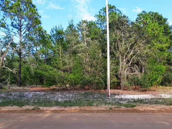 Donovan Ave #3, Interlachen, FL 32148