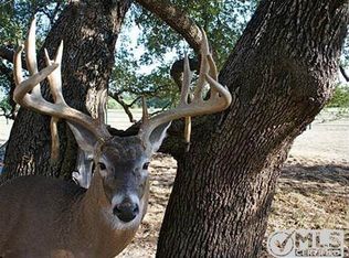 20875 County Road 487, May, TX 76857