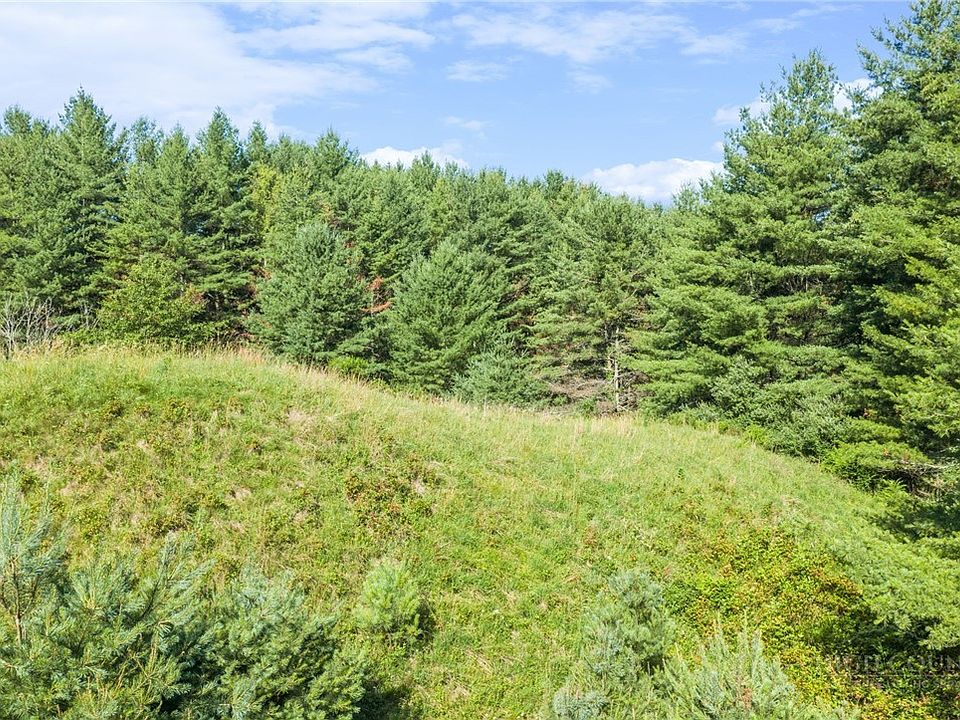 1st image of LOT 31 Alleghany Beauty
