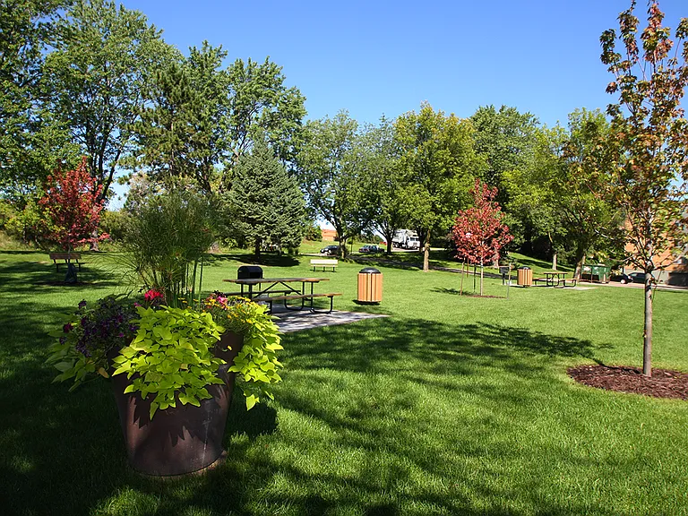 Lots of outdoor space!