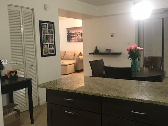 4th image of 2333 SE Brickell Ave #214