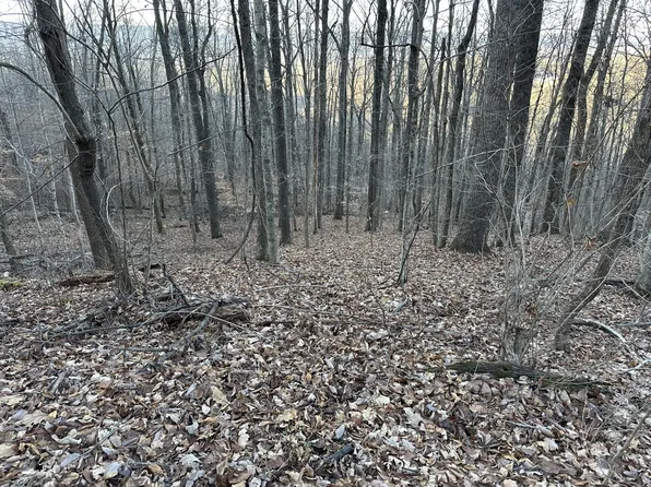 76 Ritchey Rd #Fox, Pikeville, TN 37367