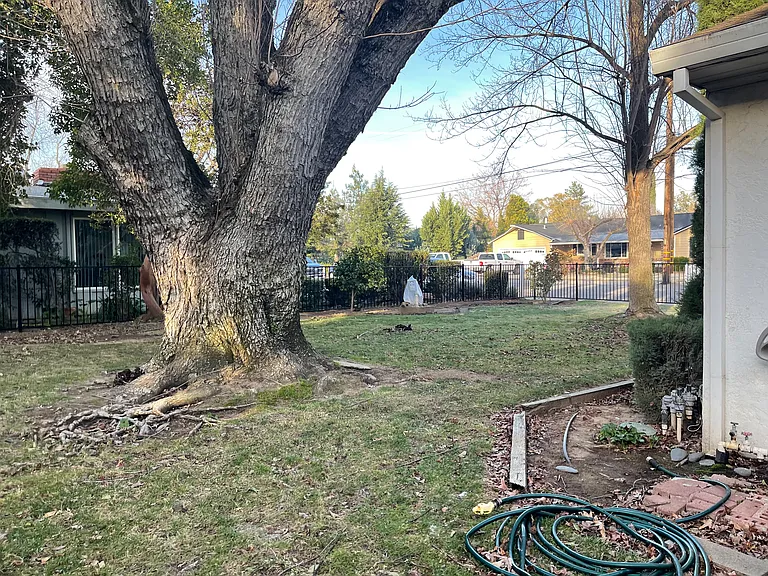 101 Sherman Dr — Photo 16
