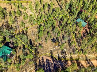 12 W Pergatory Dr, Alpine, AZ 85920