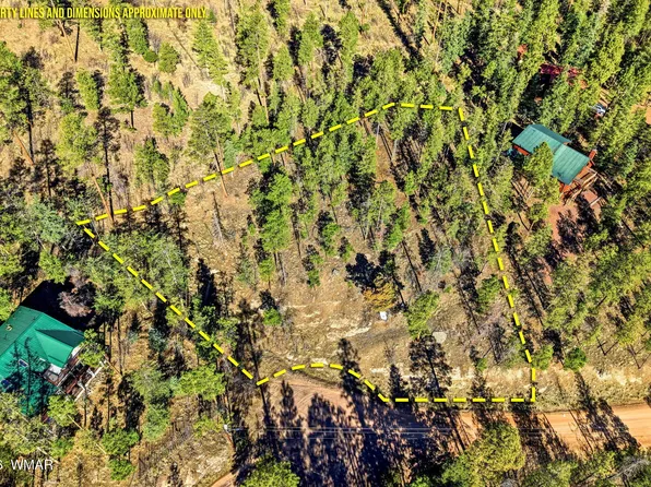 12 W Pergatory Dr, Alpine, AZ 85920
