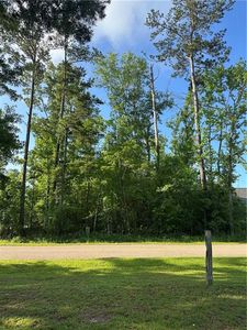 LOT 15 Ponchatrain, Springfield, LA, 70462