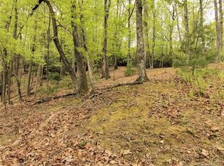 61 Buckhead Trl, Horse Shoe, NC 28742