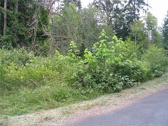 4th image of 11927 415th Street Ct E