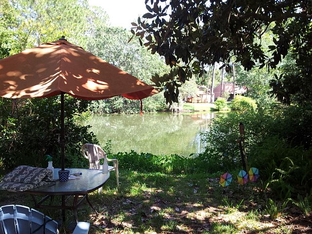 Large pond with wildlife 
