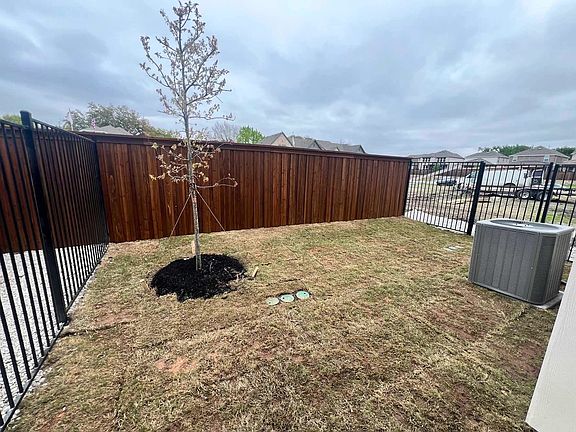 Backyard Construction Progress