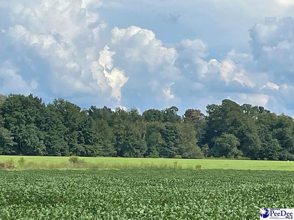 Laughlin Rd, Marion, SC 29571 Zillow