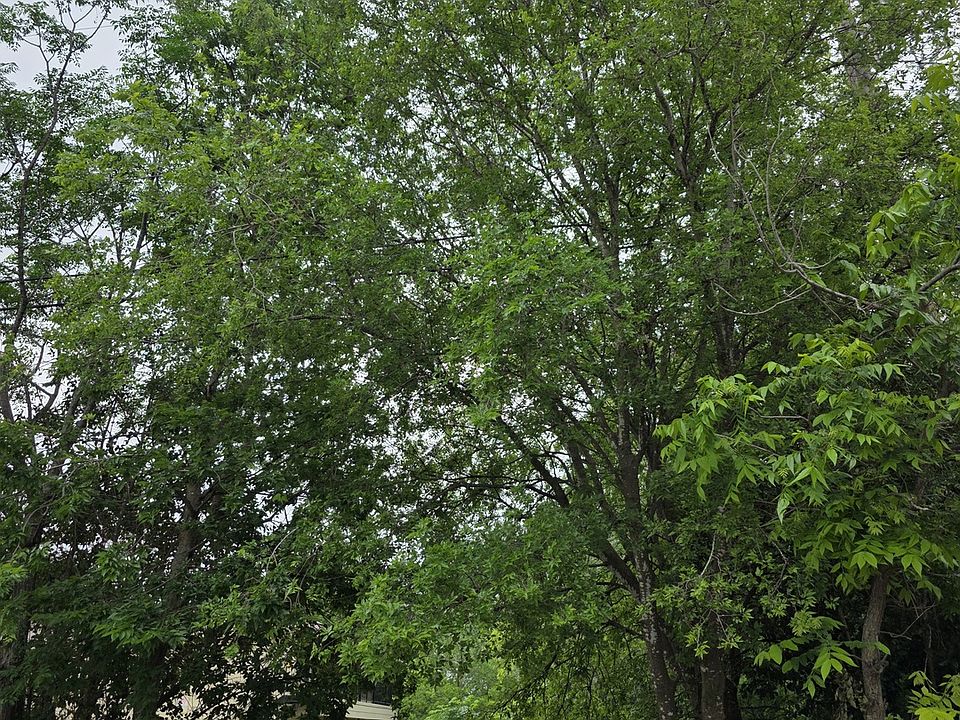 2nd image of 934 DRURY LN Drury Ln LOT 2