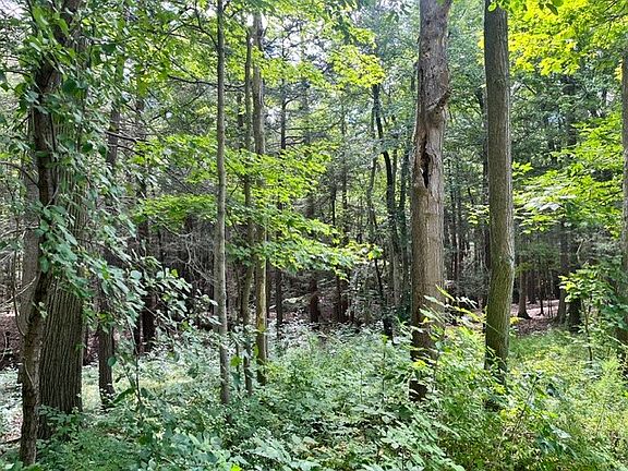 4th image of 0 Cayuga Heights Rd Lot 12