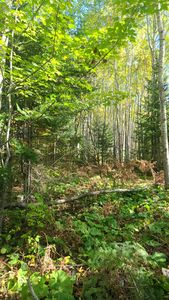 59XX E Tri Lakes Rd, Superior, WI, 54880