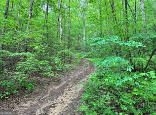 1 Wilson Bridge Ln, Clayton, GA 30525