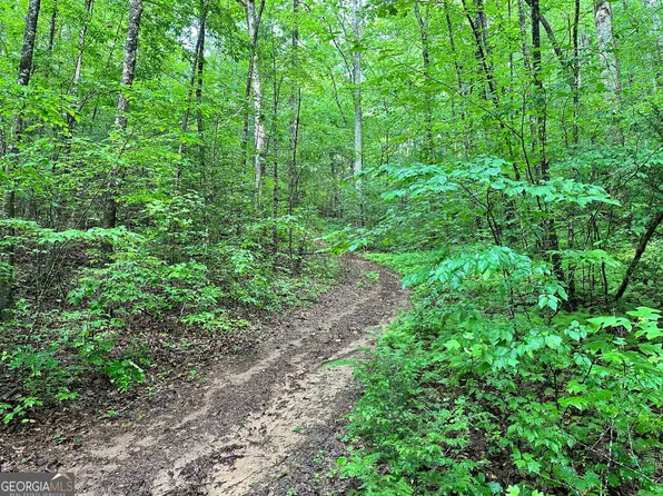 1 Wilson Bridge Ln, Clayton, GA 30525