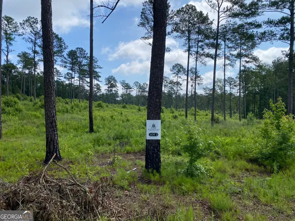 717 Giles Rd, Forsyth, GA 31029