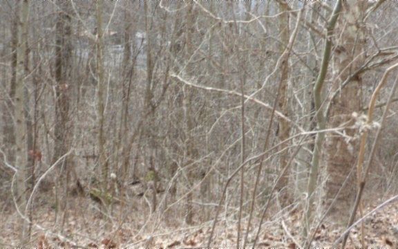 5th image of 0 Beaver Ln Lot 24