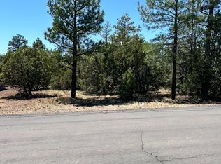5454 GRAY WOLF Drive #53, Lakeside, AZ 85929