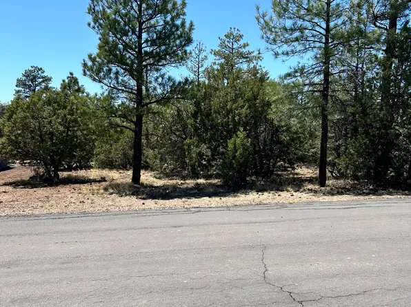 5454 GRAY WOLF Drive #53, Lakeside, AZ 85929