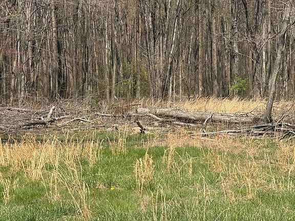 2nd image of Barclay Cutoff Rd Parcel 132