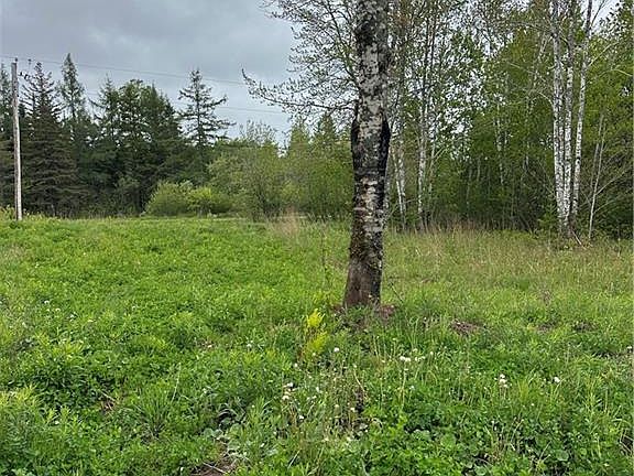 5th image of 117 Alward Rd