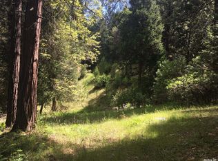 4881 Arctic Ln, Grizzly Flats, CA