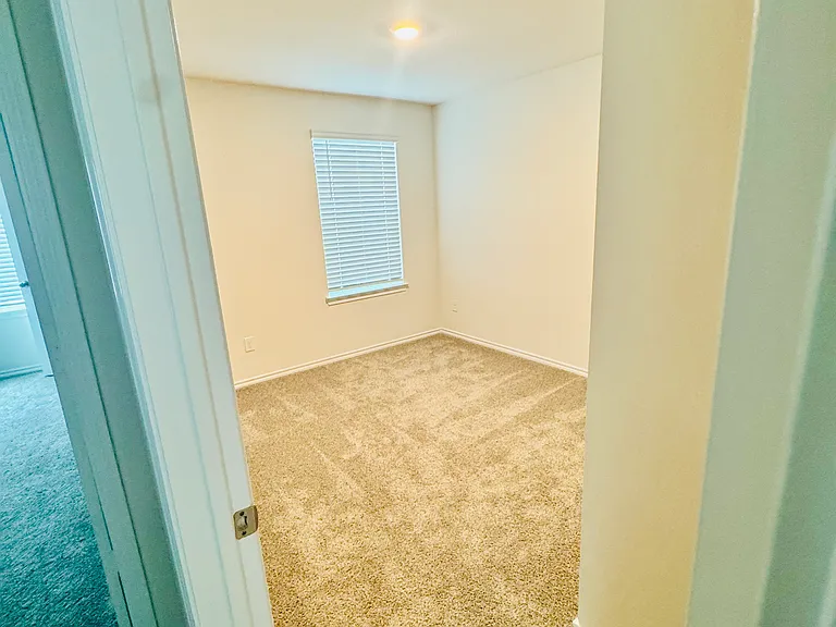 3924 Limestone Bluff Dr — Photo 12