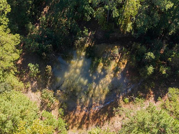 5th image of 1246 Phillips Springs Rd