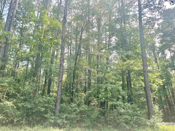 R000113751 Starfish Dr, Hemphill, TX 75948