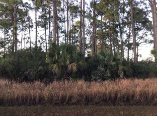 1721 Gagman St NW, Palm Bay, FL 32907